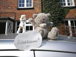 Lower Church Street Teddies Article Photo - 